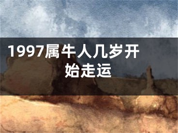 1997属牛人几岁开始走运