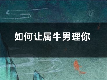 如何让属牛男理你