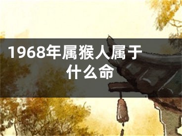 1968年属猴人属于什么命