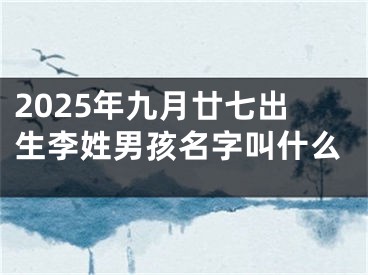 2025年九月廿七出生李姓男孩名字叫什么