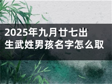 2025年九月廿七出生武姓男孩名字怎么取