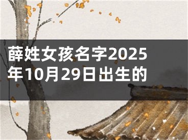 薛姓女孩名字2025年10月29日出生的