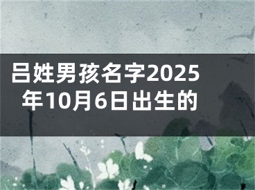 吕姓男孩名字2025年10月6日出生的