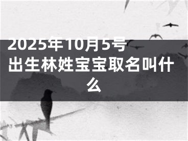 2025年10月5号出生林姓宝宝取名叫什么