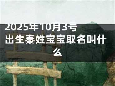 2025年10月3号出生秦姓宝宝取名叫什么