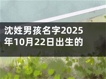 沈姓男孩名字2025年10月22日出生的