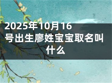2025年10月16号出生廖姓宝宝取名叫什么