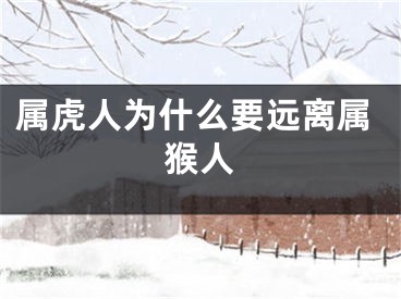 属虎人为什么要远离属猴人