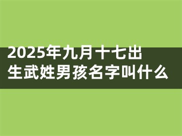 2025年九月十七出生武姓男孩名字叫什么