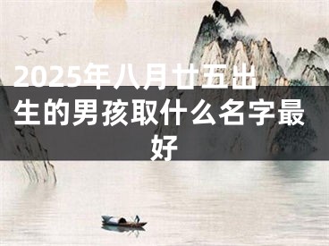 2025年八月廿五出生的男孩取什么名字最好