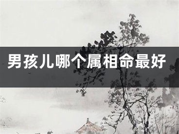 男孩儿哪个属相命最好