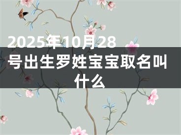 2025年10月28号出生罗姓宝宝取名叫什么