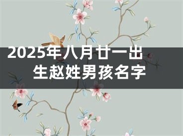 2025年八月廿一出生赵姓男孩名字