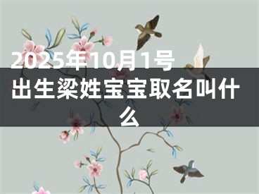 2025年10月1号出生梁姓宝宝取名叫什么