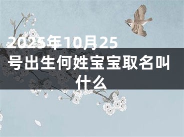 2025年10月25号出生何姓宝宝取名叫什么