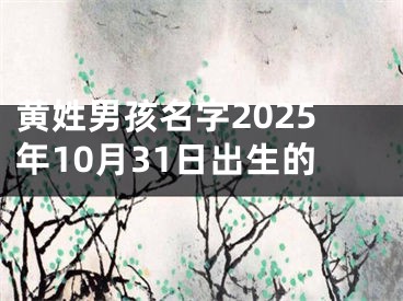 黄姓男孩名字2025年10月31日出生的