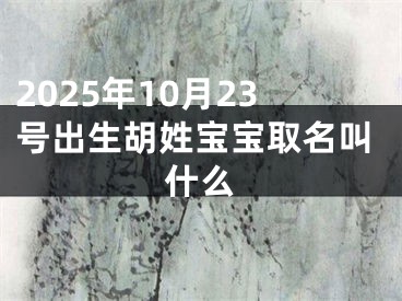 2025年10月23号出生胡姓宝宝取名叫什么