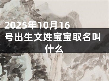 2025年10月16号出生文姓宝宝取名叫什么