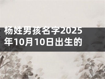 杨姓男孩名字2025年10月10日出生的