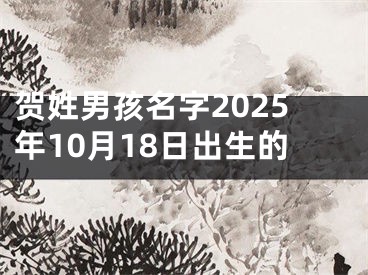 贺姓男孩名字2025年10月18日出生的