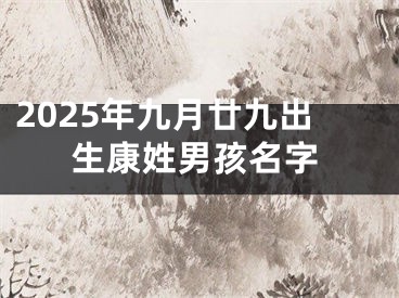 2025年九月廿九出生康姓男孩名字