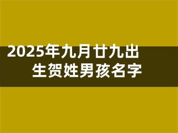2025年九月廿九出生贺姓男孩名字