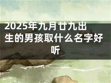 2025年九月廿九出生的男孩取什么名字好听