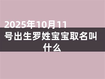 2025年10月11号出生罗姓宝宝取名叫什么