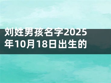 刘姓男孩名字2025年10月18日出生的