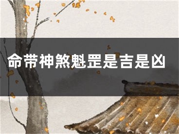 命带神煞魁罡是吉是凶