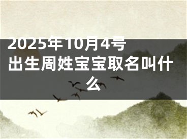 2025年10月4号出生周姓宝宝取名叫什么