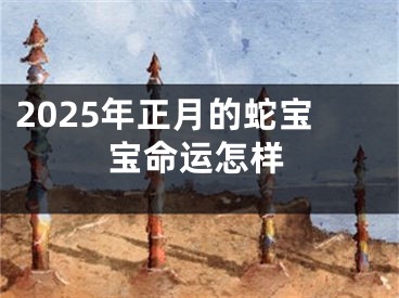2025年正月的蛇宝宝命运怎样