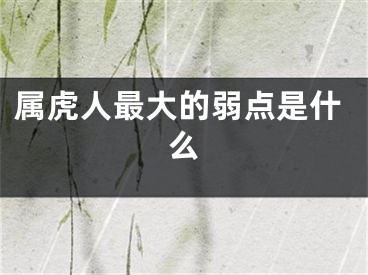 属虎人最大的弱点是什么