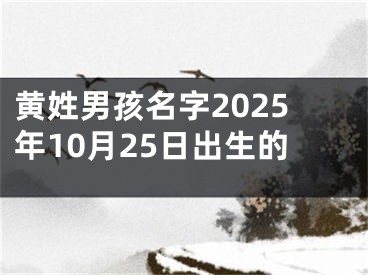黄姓男孩名字2025年10月25日出生的
