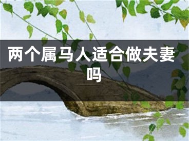 两个属马人适合做夫妻吗
