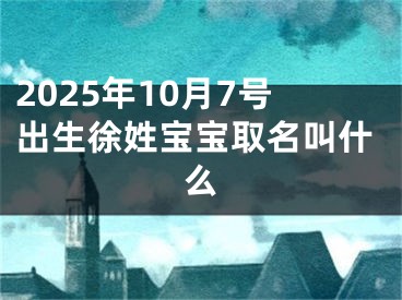2025年10月7号出生徐姓宝宝取名叫什么
