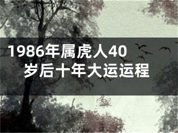 1986年属虎人40岁后十年大运运程