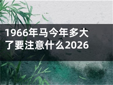 1966年马今年多大了要注意什么2026
