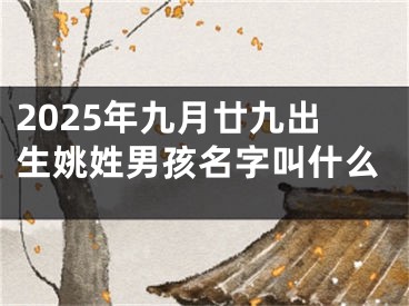 2025年九月廿九出生姚姓男孩名字叫什么