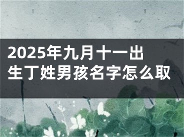 2025年九月十一出生丁姓男孩名字怎么取