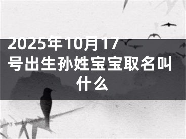 2025年10月17号出生孙姓宝宝取名叫什么
