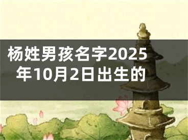 杨姓男孩名字2025年10月2日出生的