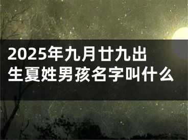 2025年九月廿九出生夏姓男孩名字叫什么