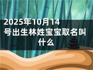 2025年10月14号出生林姓宝宝取名叫什么