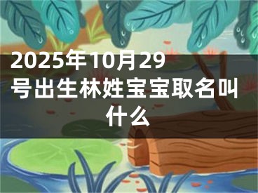 2025年10月29号出生林姓宝宝取名叫什么