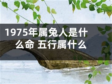 1975年属兔人是什么命 五行属什么