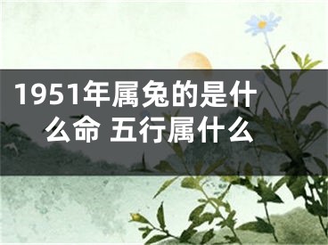 1951年属兔的是什么命 五行属什么