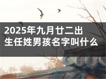 2025年九月廿二出生任姓男孩名字叫什么