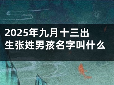 2025年九月十三出生张姓男孩名字叫什么
