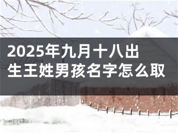 2025年九月十八出生王姓男孩名字怎么取